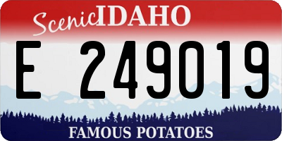 ID license plate E249019