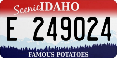 ID license plate E249024