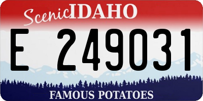ID license plate E249031