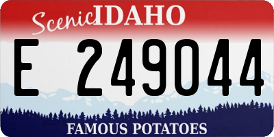 ID license plate E249044