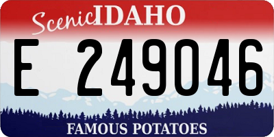 ID license plate E249046