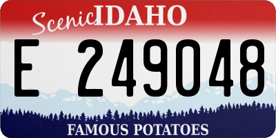 ID license plate E249048