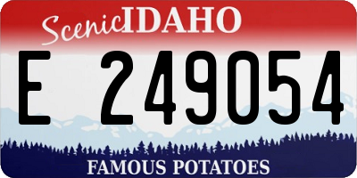 ID license plate E249054