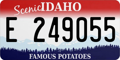 ID license plate E249055