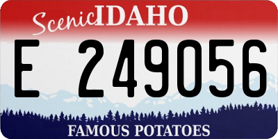 ID license plate E249056