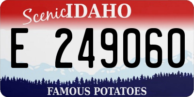 ID license plate E249060