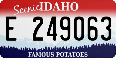 ID license plate E249063