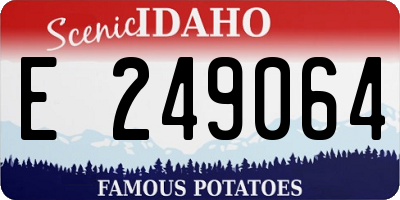 ID license plate E249064