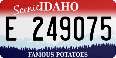 ID license plate E249075