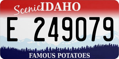 ID license plate E249079