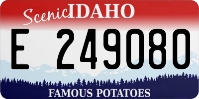 ID license plate E249080