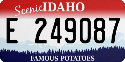 ID license plate E249087
