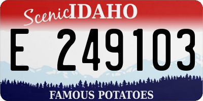 ID license plate E249103
