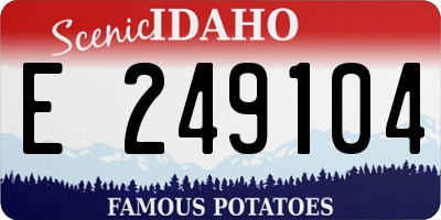 ID license plate E249104
