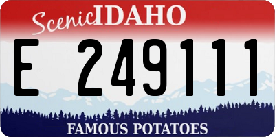 ID license plate E249111