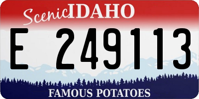 ID license plate E249113