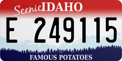 ID license plate E249115