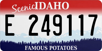 ID license plate E249117