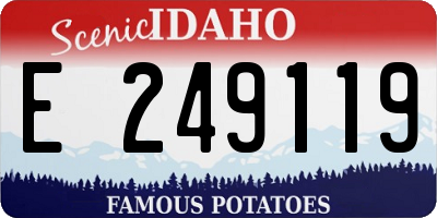 ID license plate E249119