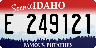 ID license plate E249121