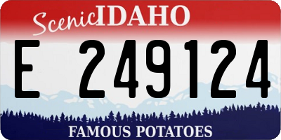 ID license plate E249124