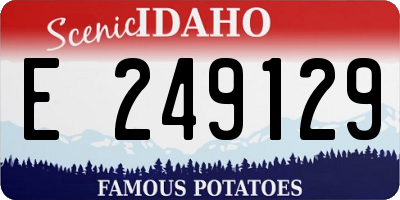 ID license plate E249129