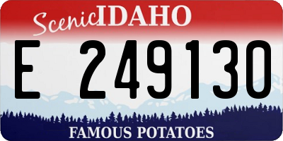 ID license plate E249130
