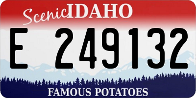 ID license plate E249132