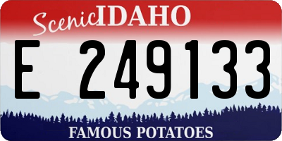ID license plate E249133