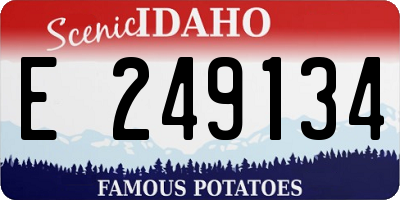 ID license plate E249134