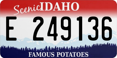 ID license plate E249136