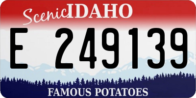 ID license plate E249139