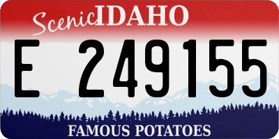 ID license plate E249155