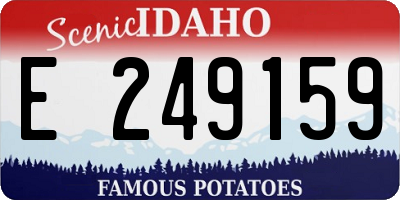 ID license plate E249159