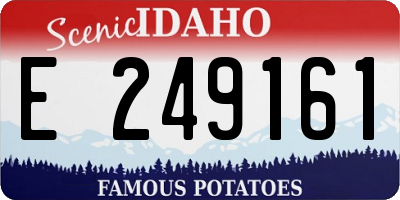 ID license plate E249161