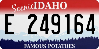 ID license plate E249164