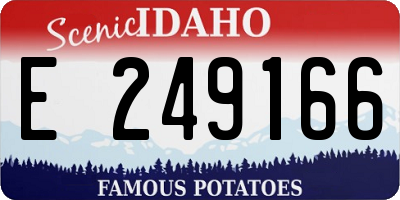 ID license plate E249166
