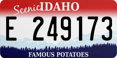 ID license plate E249173