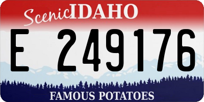 ID license plate E249176
