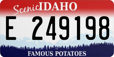 ID license plate E249198
