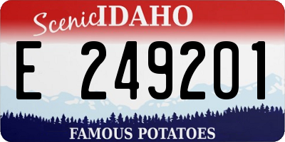 ID license plate E249201