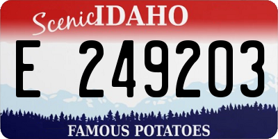 ID license plate E249203