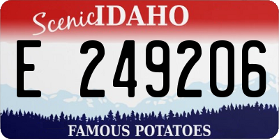 ID license plate E249206