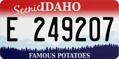 ID license plate E249207