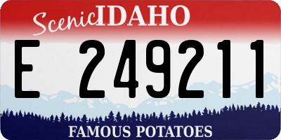 ID license plate E249211