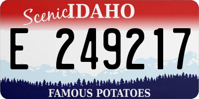 ID license plate E249217