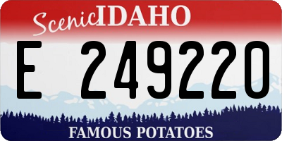 ID license plate E249220