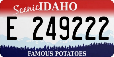 ID license plate E249222