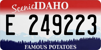 ID license plate E249223