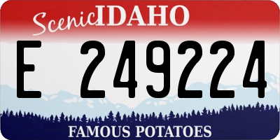 ID license plate E249224